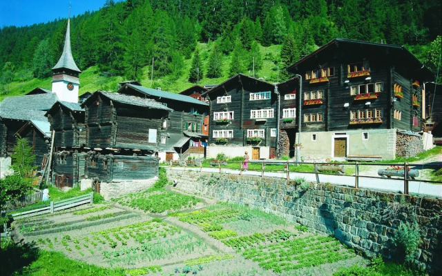 Unique Holiday Home in Heremence in the ski Area