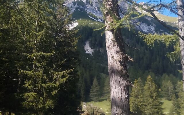 Modern Chalet in Mauterndorf With Garden