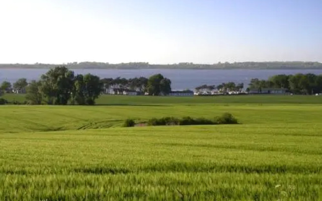 Roter Bungalow am Strand _50m_ _ O