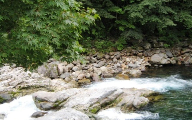 Shitajima Onsen Senyukan