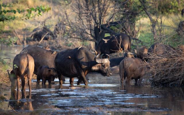 MILIMA Big 5 Safari Lodge