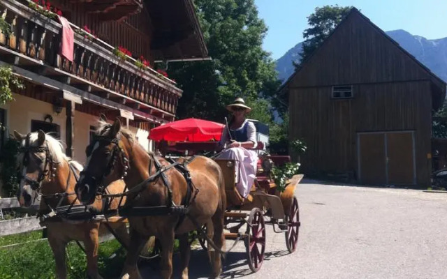 Reitbauernhof Schartner