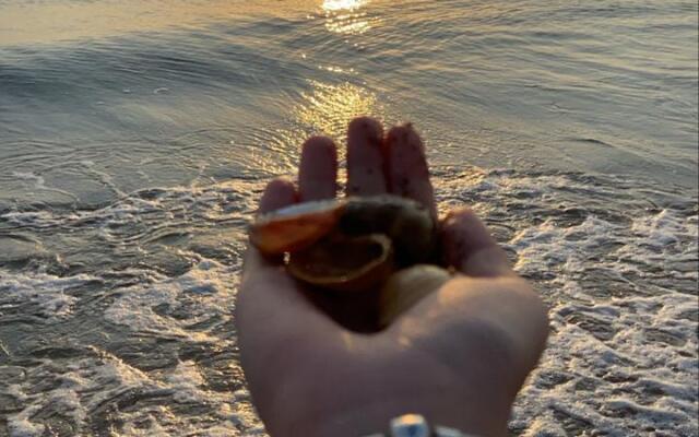 Гостевой дом у Заиры