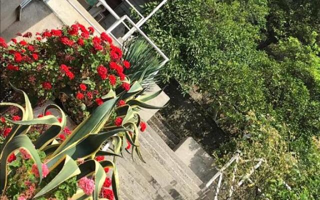 Guest house on Kabardinskaya 10