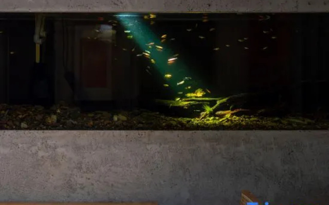 Xiao Zhang's Cultural and Artistic Homestay