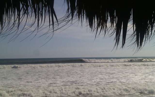 Pelicano Surf Camp