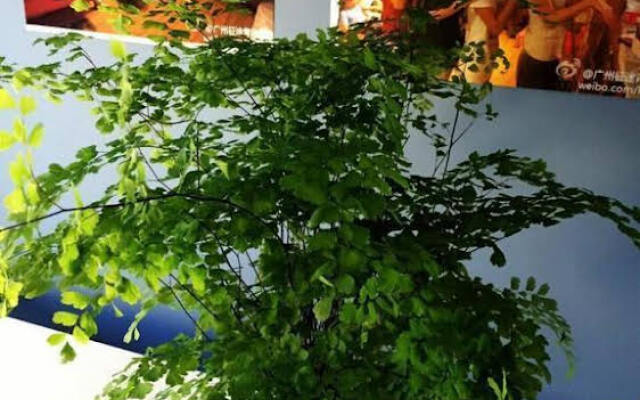 Journey House Youth Hostel