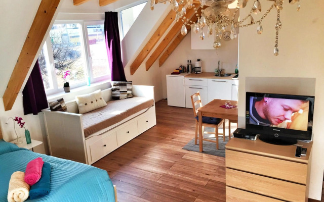 Book-A-Room City Apartment Salzburg