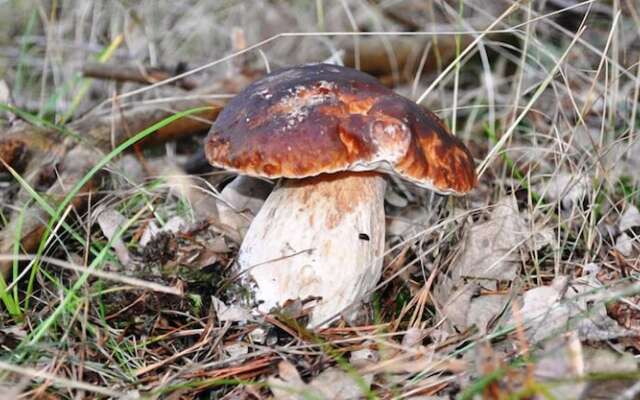 Hotel Rural y SPA La Senda de los Caracoles