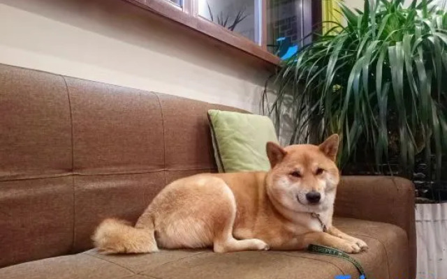 Three-time Bieyuan·star theme worry-free starry sky beauty hotel