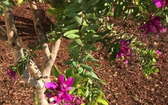 Zerostuni Suite Apartment