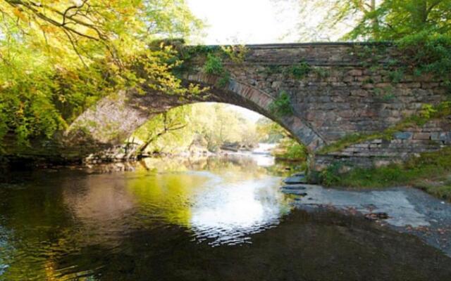 River bank apartment