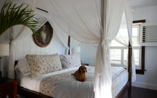Hibiscus Hill Guest House - Elegant Garden Oasis, Pink Sand Bch 4 Bedroom Home — фото 3