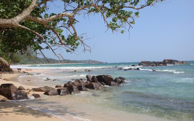 Surf Sea Breeze