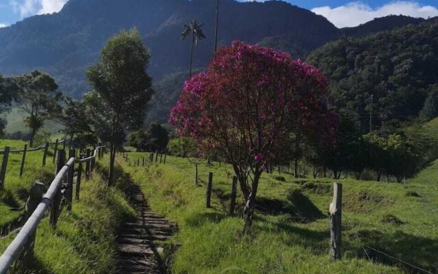 Refugios Nidos del Condor -Cocora-