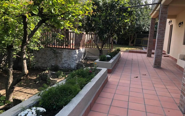 Carrubo - Giardino in città