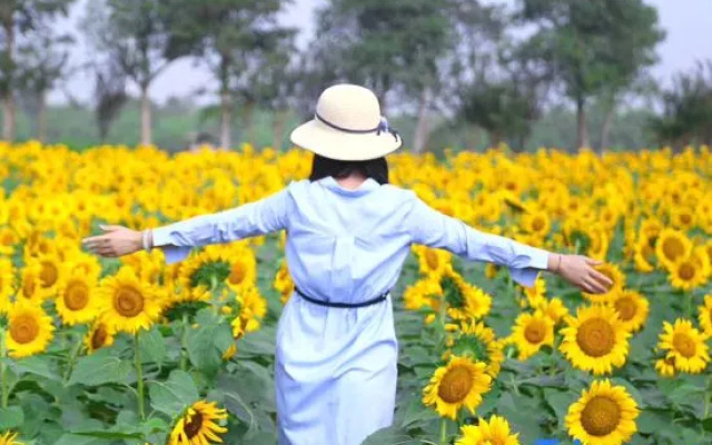 Nanjing International Mancheng Hanying Farm House – People – Nanjing