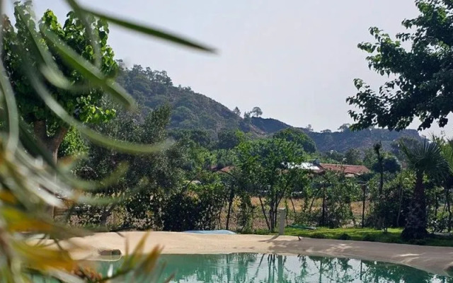 Çıralı Nun BungaLove