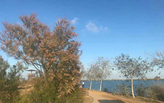 Apartamentos En Deltebre