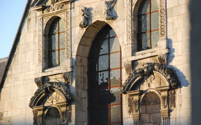 Luxury Flat in Dijon