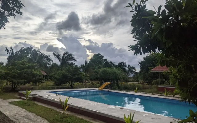 Mango Tree Farm