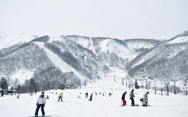 Hakuba Park Hotel