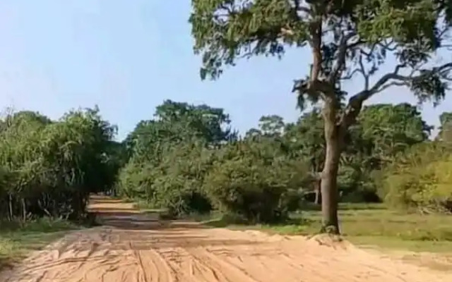 Sasanda Villa