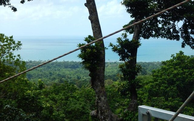 Black Palm Cape Tribulation