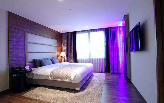Hotel International