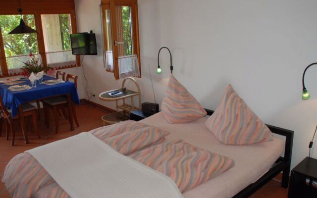 Studio al vigneto