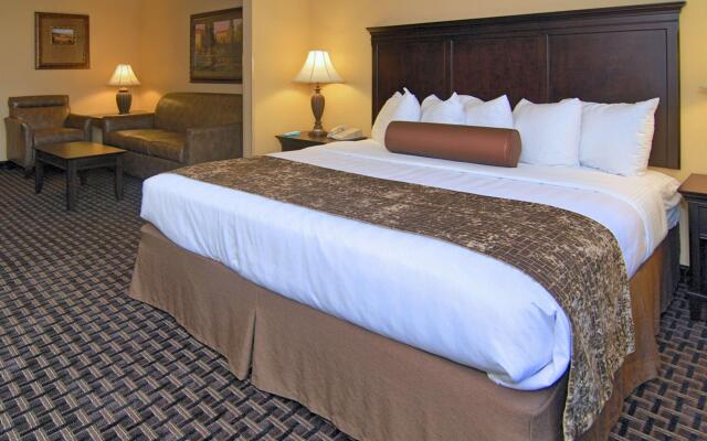Best Western Plus Southpark Inn & Suites