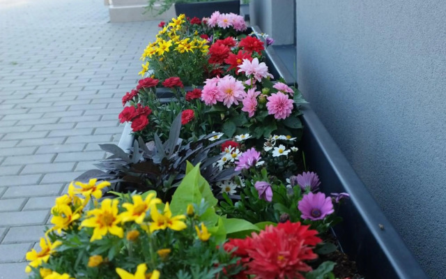 Penzión pod brezami**