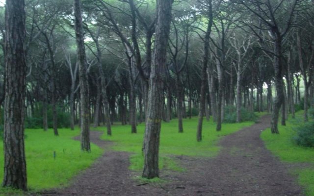 The Caparica Sun Centre