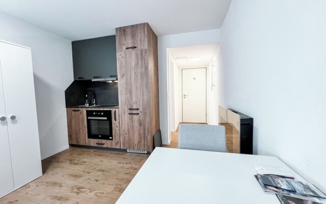 Beautiful 1-bed Apartment in Saas-fee