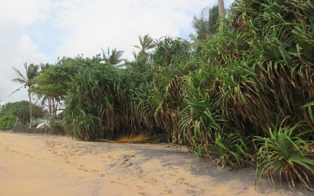 Leatherback Beach Villa