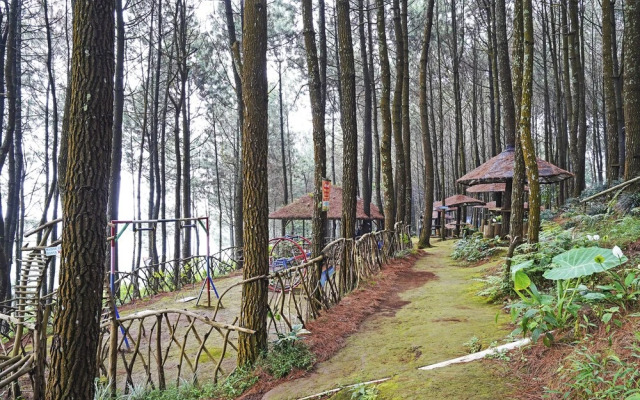 OYO Homes 90914 Eco Tourism Desa Cipada Bukit Senyum Homestay Syariah