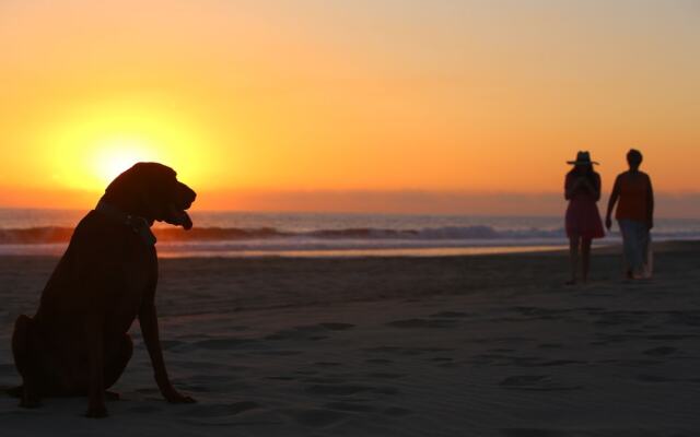 Samora Luxury Resort