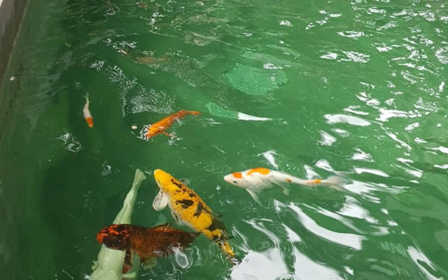 บ้านเลขที่ 3