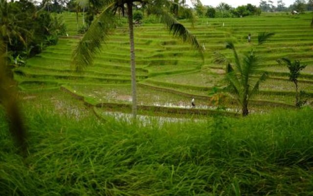 Green house