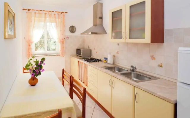 Apartments in Vinkuran/istrien 11042
