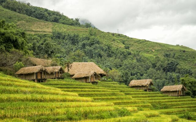 Eco Palms House - Sapa Retreat