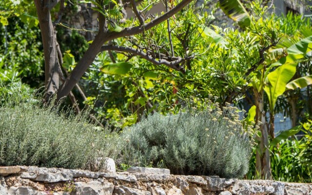 An Apartment Lavanda