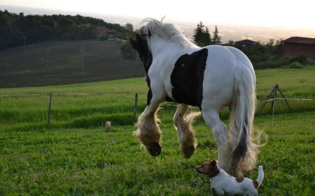 Cà Bianca dell'Abbadessa