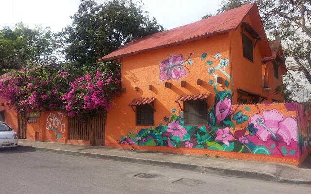 Casa Kiwi