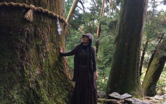 Sansaro Cafe & Guest House