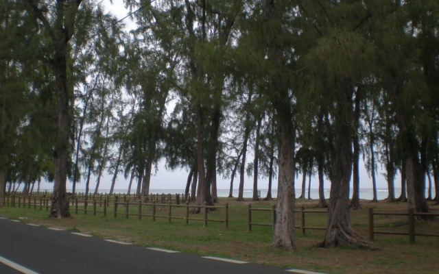 Dream Holiday Beach Apartment