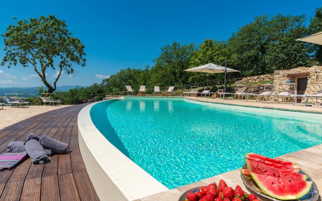 Santa Illuminata 20 12