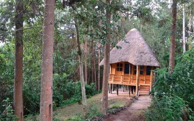 Lake Bunyonyi Eco Resort