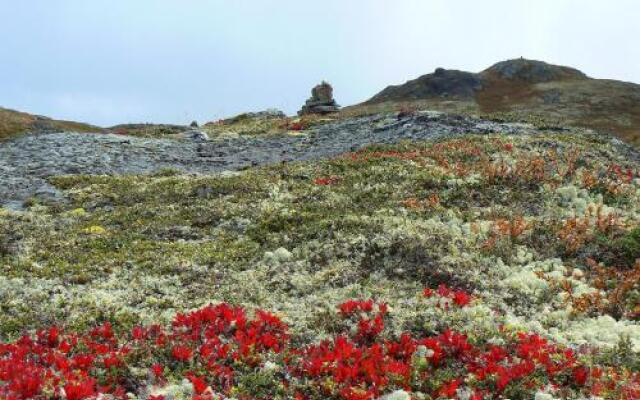 Fagerhøy Fjellstue