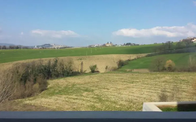 Todi In Excelsis